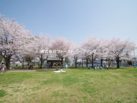 周辺環境:亀久保中央公園　住宅街の中にある公園　ロープウェイや幼児向け滑り台、コンビネーション遊具などの子供遊具が設置されています！じゃぶじゃぶ池があり水遊びも楽しむことができます！
