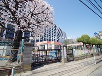 周辺環境:北朝霞保育園　北朝霞駅・朝霞台駅から近く、電車通勤の共働き世帯の方にも心強い立地　お子様がのびのびと育つような園の方針のもと元気な子供たちの声が聞こえてきますよ！　
