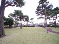 周辺環境:水久保第一公園　松の木が綺麗に並ぶ公園です。健康器具やベンチがあり、お散歩コースにもおすすめです！お子様とのボール遊びができる広さがあり、飛び出し防止用のポールもあるので安心です！
